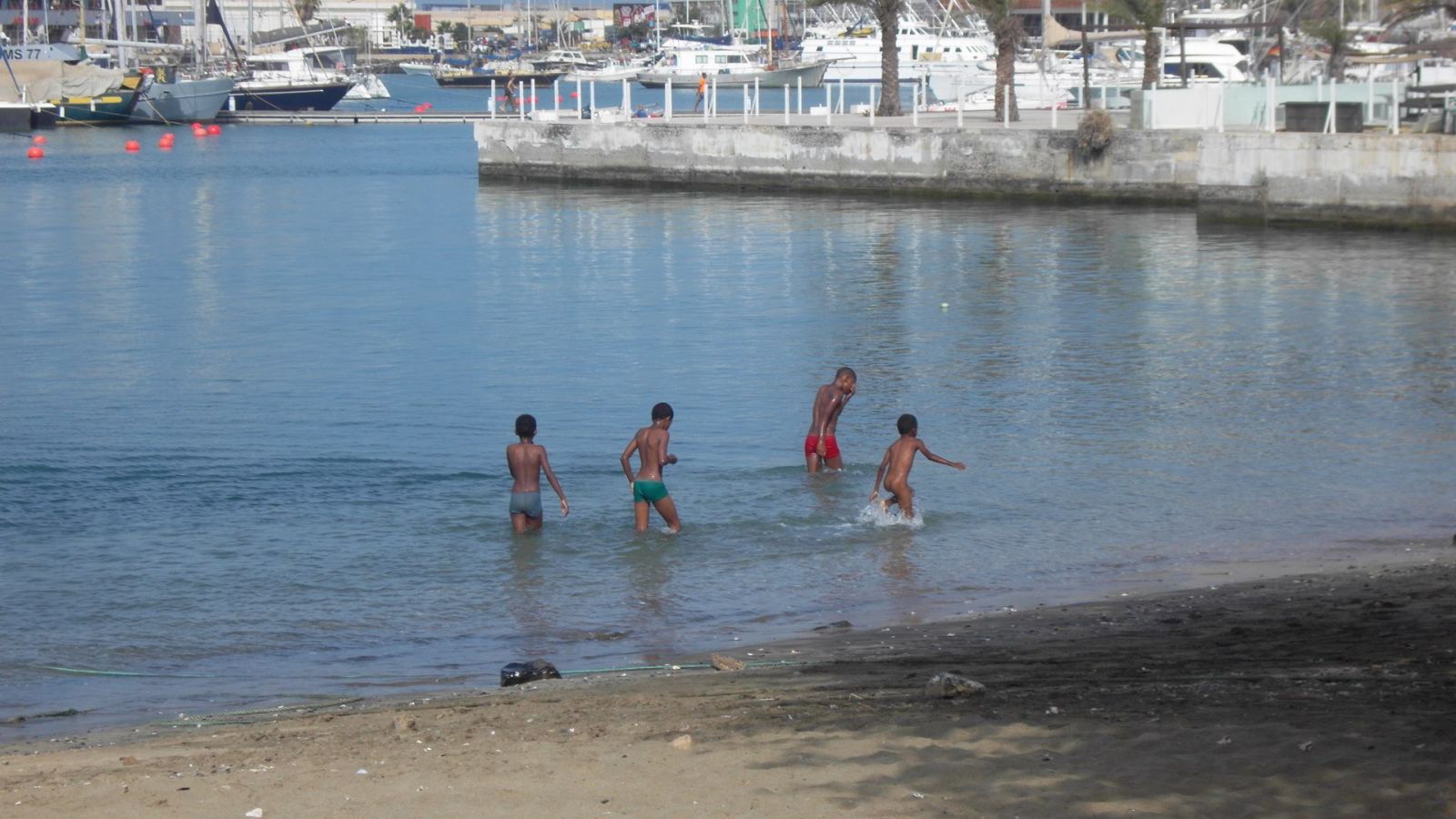 This is picture 1