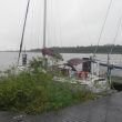 aangespoeld eiland in de haven Waterland