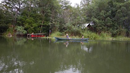 Hoe gaat het met...?