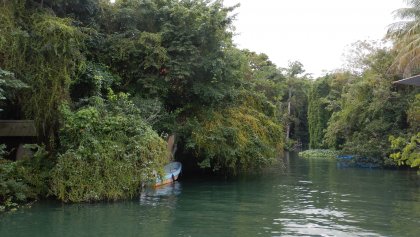Rio Dulce. Tortugal Creek
