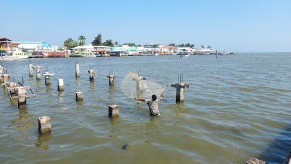 Plezier in die vreemde toeristen