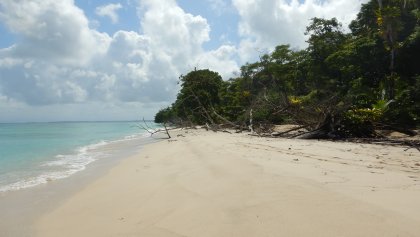 Zapatillos strand en landingsgebied voor de schildpadden