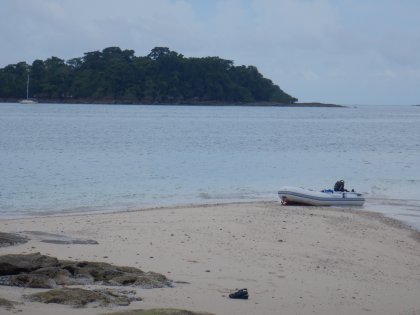 Queen B en het Vliegdekschip